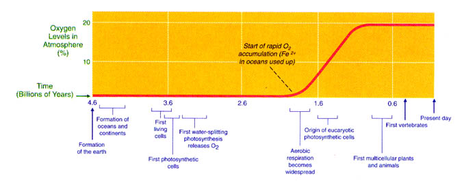 Image result for timeline showing oxygen in atmosphere