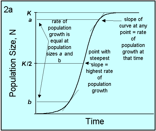 exponential population growth graph