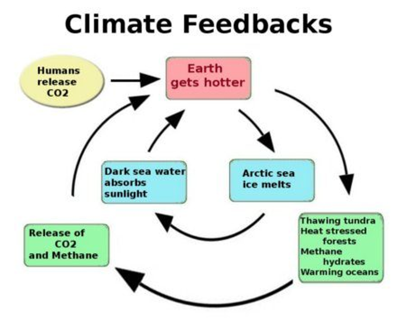 climate-feedbacks