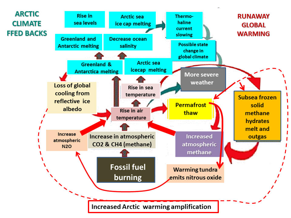 the-global-carbon-budget-and-permafrost-feedback-loops-in-the-arctic