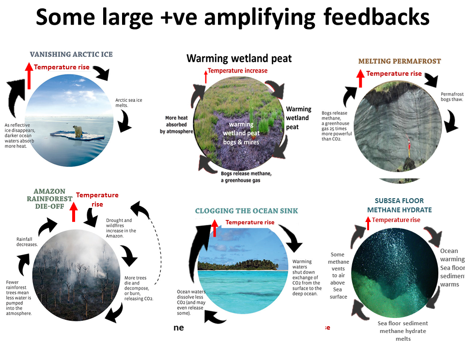 negative-feedback-energy-education