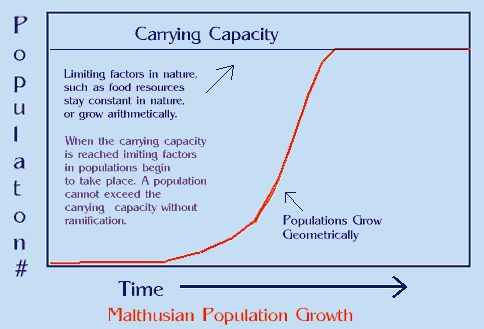 Who Is Thomas Malthus? What is the Malthusian Growth Model?